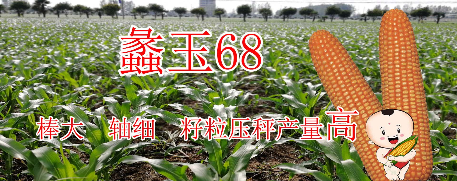 大綠河北種業(yè)科技有限公司